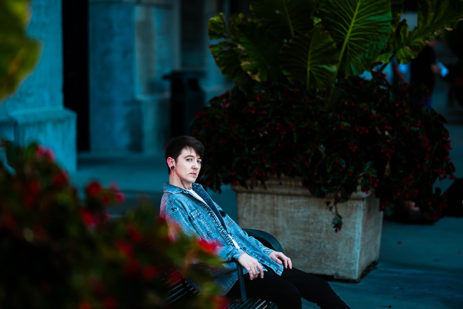 Jaxon, Planter, Cool Light