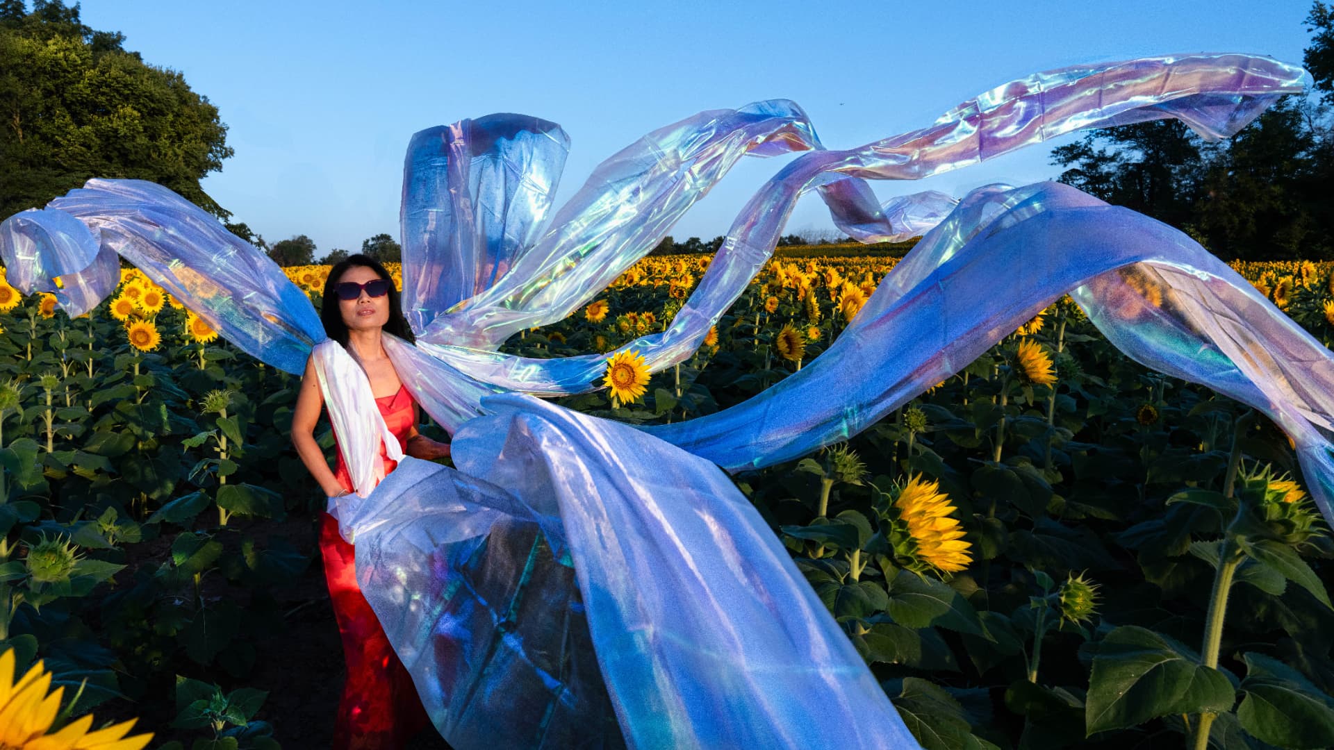 Sawan, Flying Fabric, Sunflowers