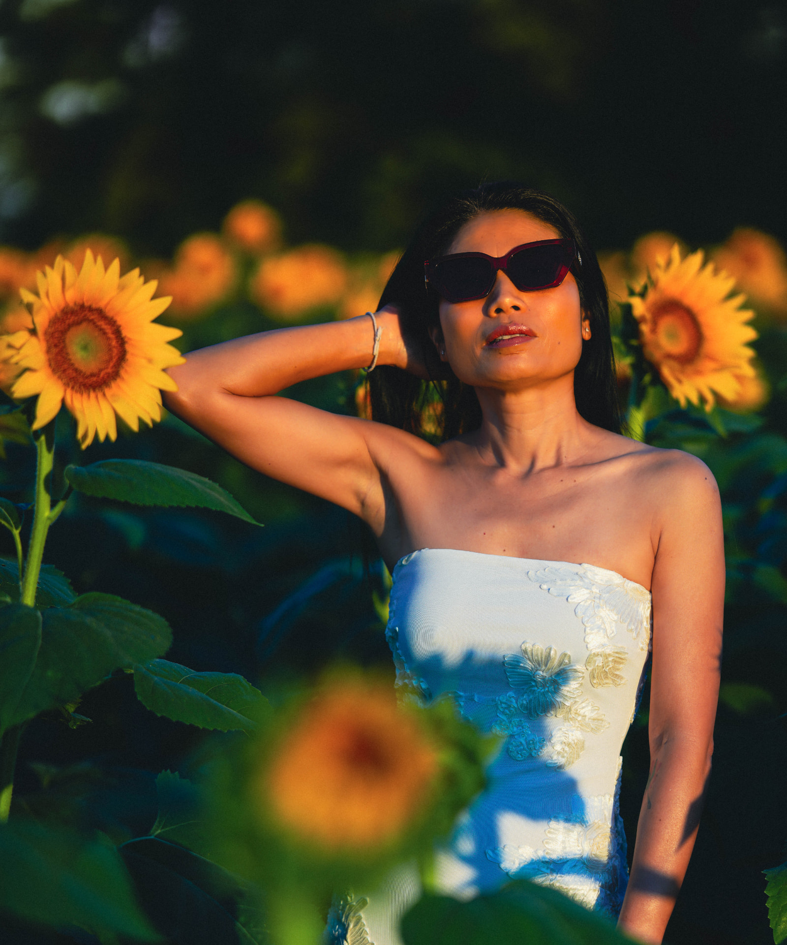 Sawan, Sunflowers, Golden Hour