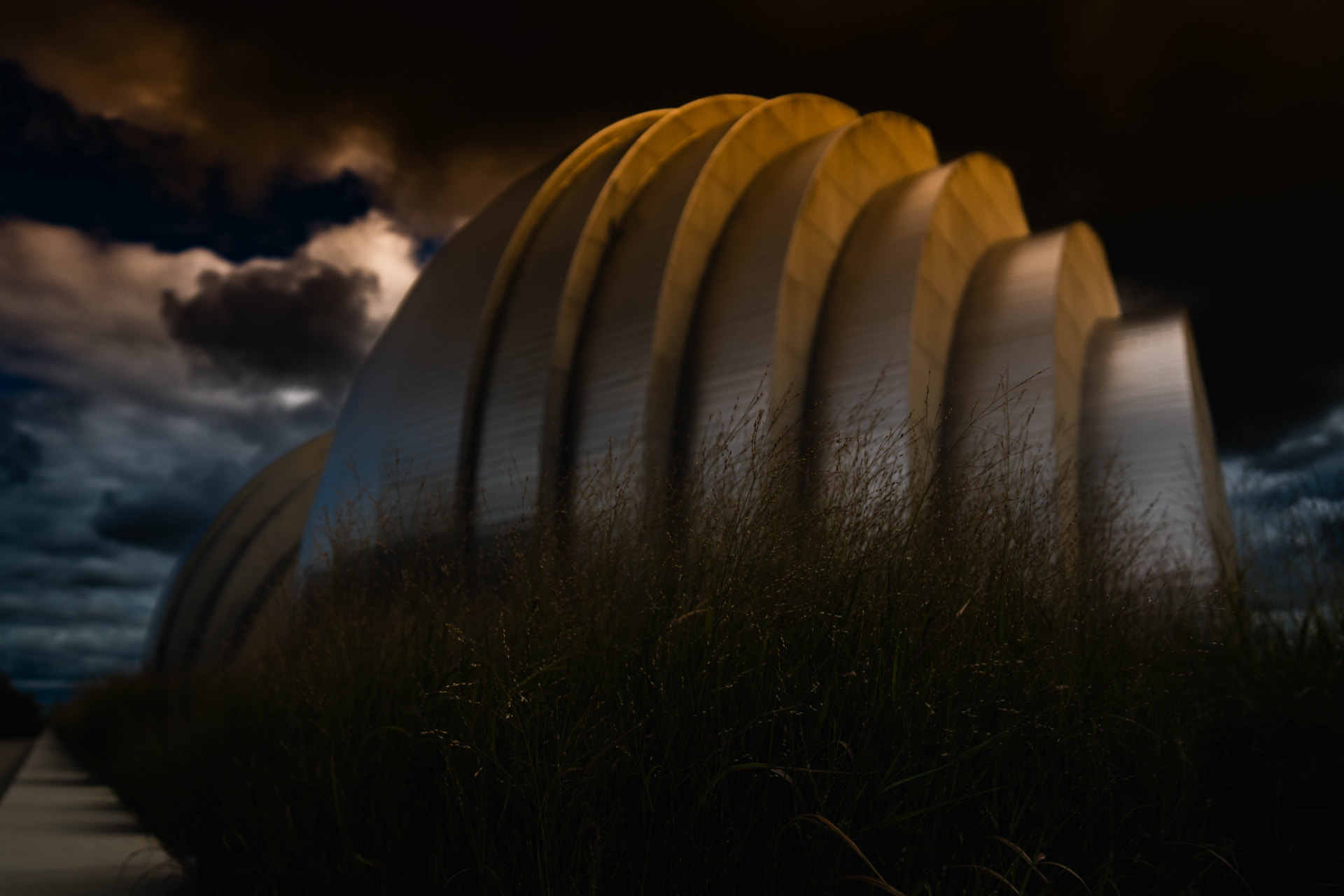 Arches, Night Grass