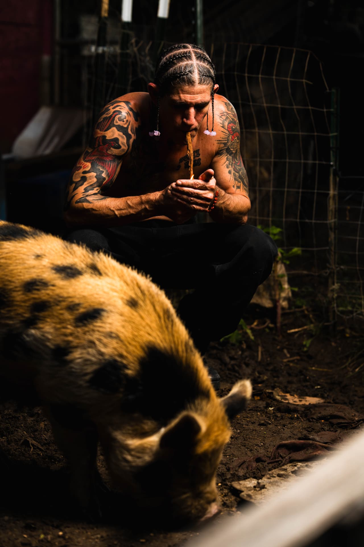 Jeff, Shady Frase Farm